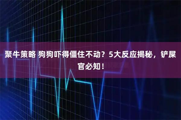 聚牛策略 狗狗吓得僵住不动？5大反应揭秘，铲屎官必知！