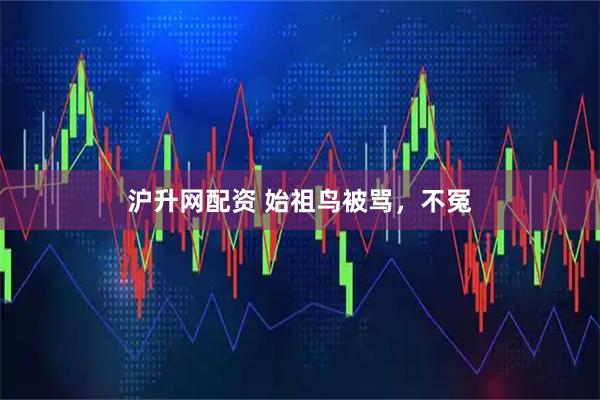 沪升网配资 始祖鸟被骂，不冤