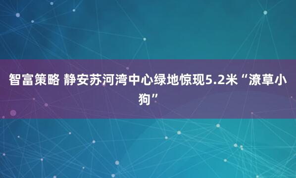智富策略 静安苏河湾中心绿地惊现5.2米“潦草小狗”